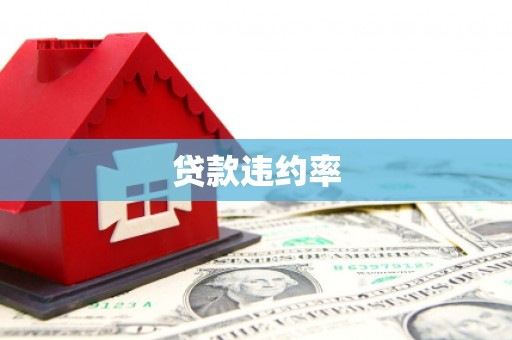 铁锋贷款违约率