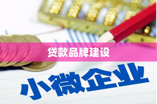 铁锋贷款品牌建设