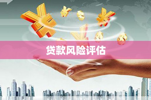 铁锋贷款风险评估
