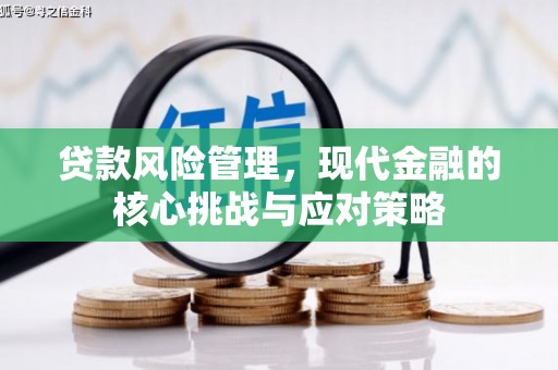 铁锋贷款风险管理，现代金融的核心挑战与应对策略