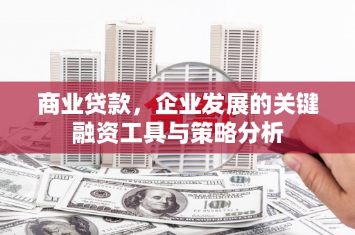铁锋商业贷款，企业发展的关键融资工具与策略分析