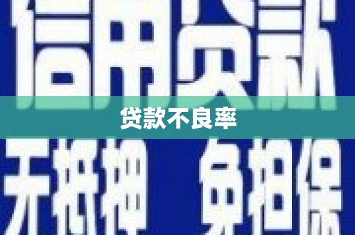 铁锋贷款不良率