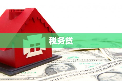 铁锋税务贷