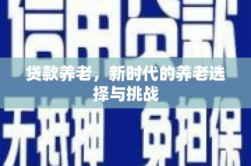 铁锋贷款养老，新时代的养老选择与挑战