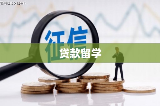铁锋贷款留学