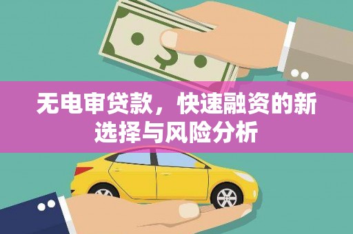 铁锋无电审贷款，快速融资的新选择与风险分析