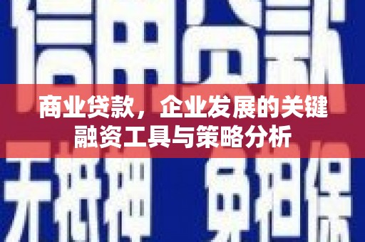 铁锋商业贷款，企业发展的关键融资工具与策略分析