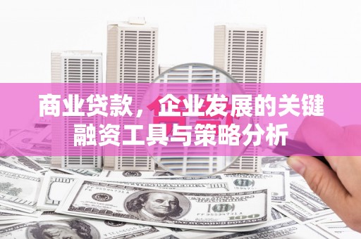 铁锋商业贷款，企业发展的关键融资工具与策略分析