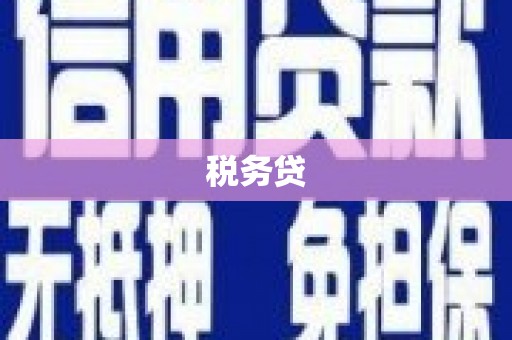 铁锋税务贷