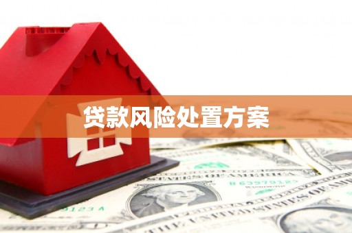 铁锋贷款风险处置方案