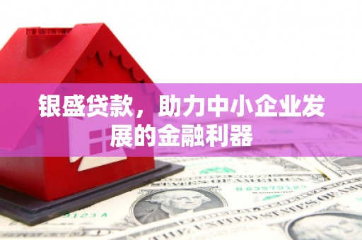 铁锋银盛贷款，助力中小企业发展的金融利器