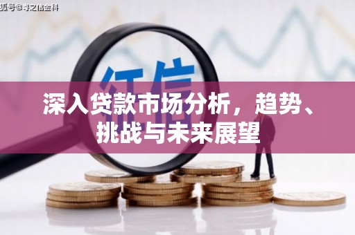 铁锋深入贷款市场分析，趋势、挑战与未来展望