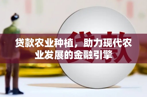 铁锋贷款农业种植，助力现代农业发展的金融引擎
