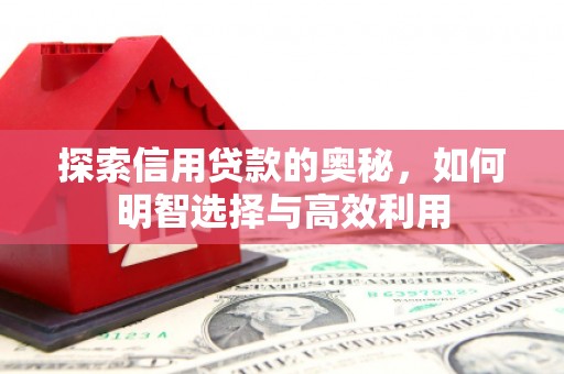 铁锋探索信用贷款的奥秘，如何明智选择与高效利用