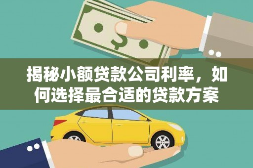 铁锋揭秘小额贷款公司利率，如何选择最合适的贷款方案