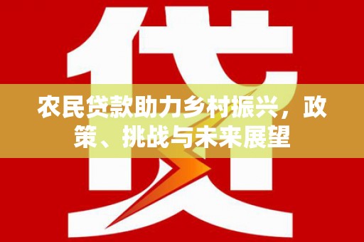 铁锋农民贷款助力乡村振兴，政策、挑战与未来展望