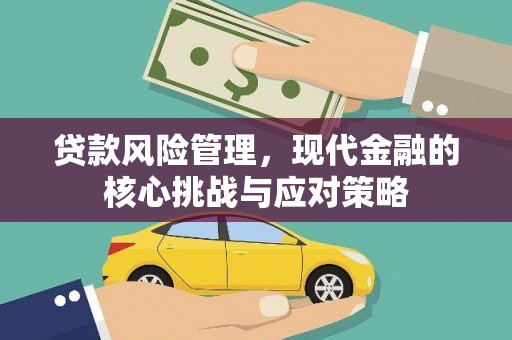 铁锋贷款风险管理，现代金融的核心挑战与应对策略