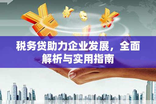铁锋税务贷助力企业发展，全面解析与实用指南
