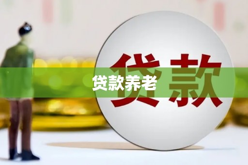 铁锋贷款养老