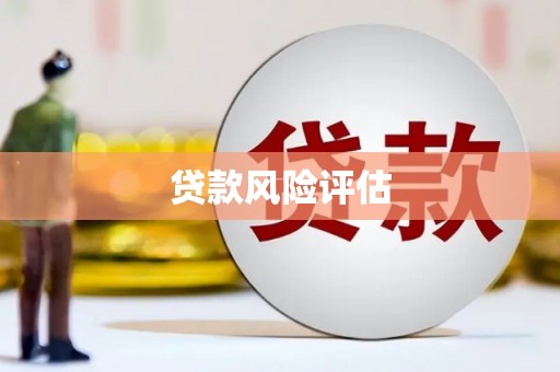 铁锋贷款风险评估