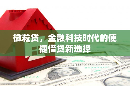 铁锋微粒贷，金融科技时代的便捷借贷新选择