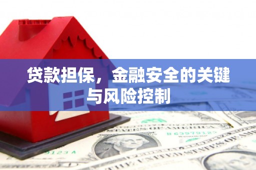 铁锋贷款担保，金融安全的关键与风险控制