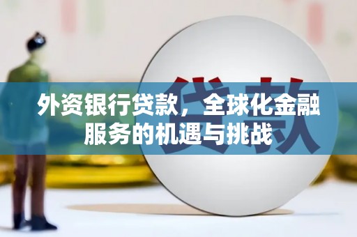 铁锋外资银行贷款，全球化金融服务的机遇与挑战