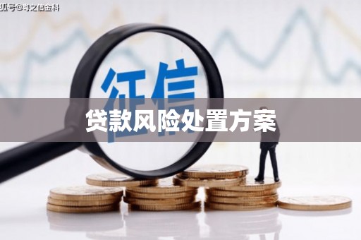 铁锋贷款风险处置方案